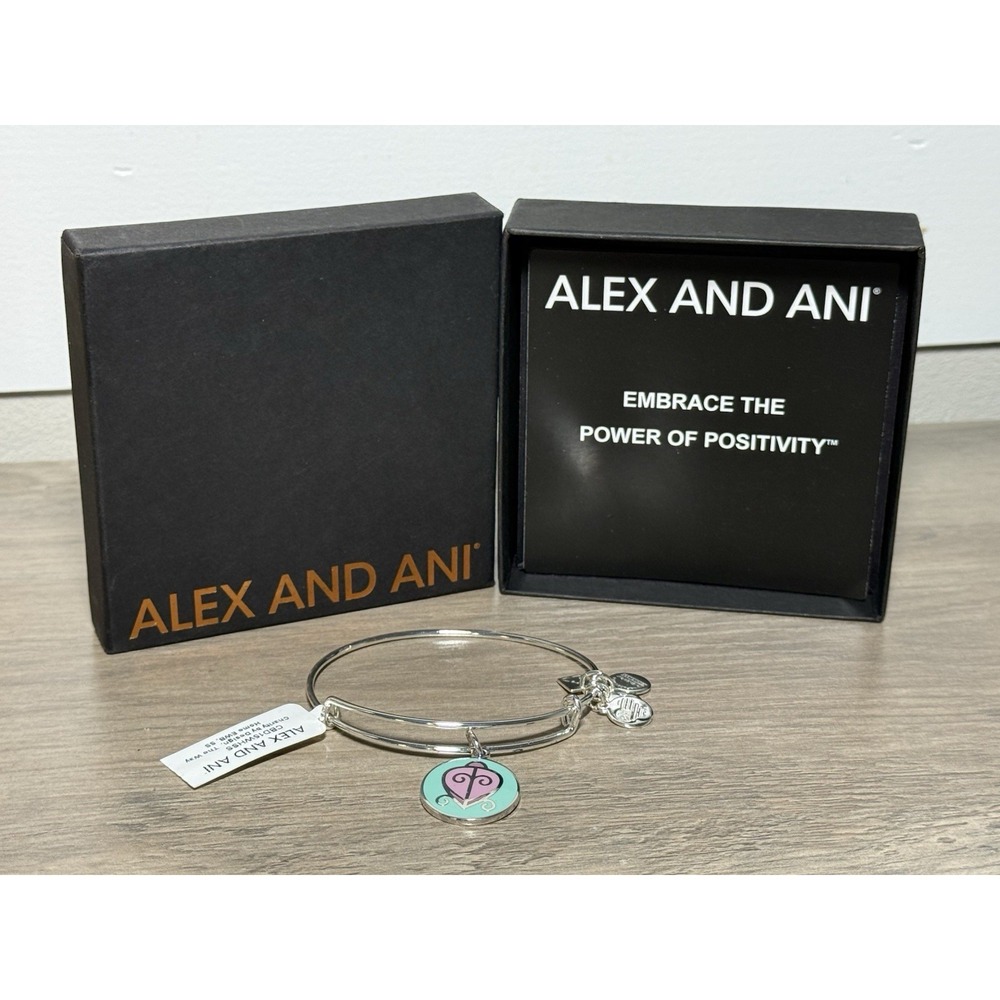 Alex and Ani "The Way Home"  Silver Tone Bangle Bracelet - Charity by Design NWB